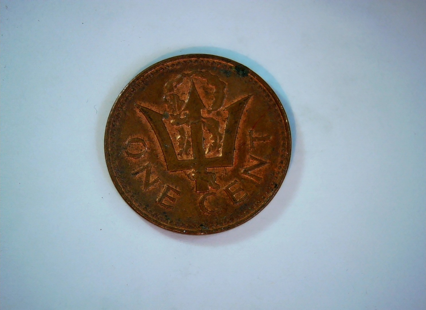Barbados 1980 1 Cent Barbados 1 Cent (Trident / Coat of Arms) Coin