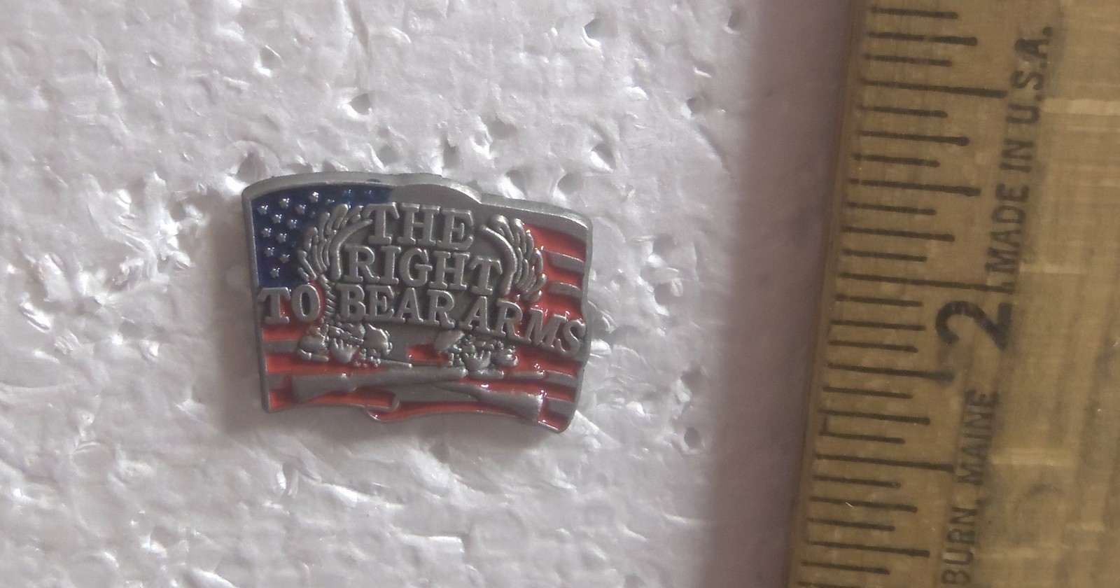 The Right to Bear Arms Pin