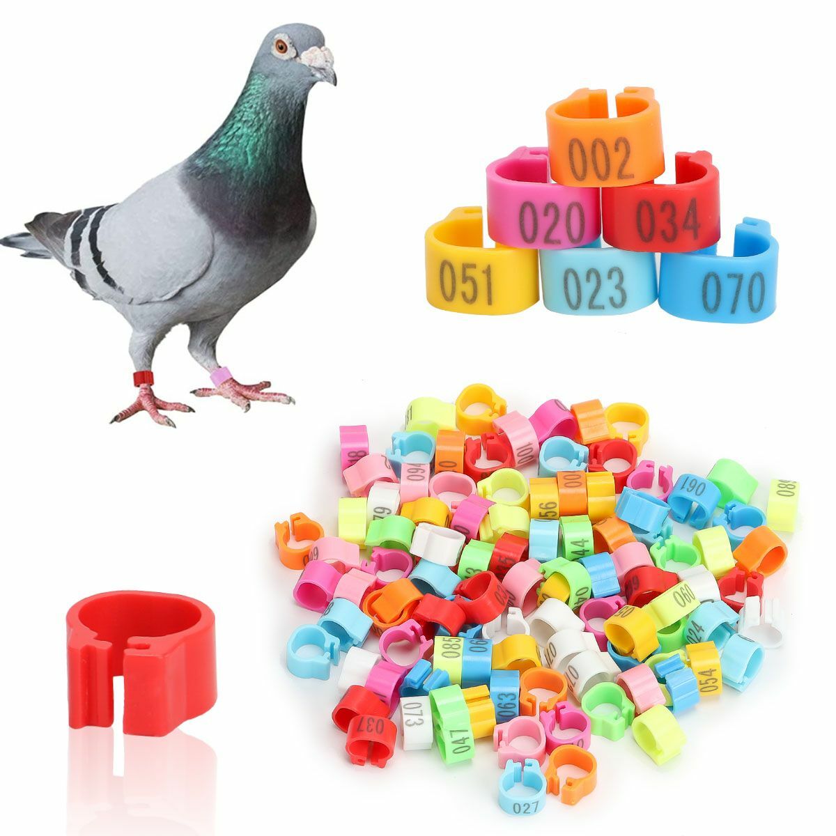 100x 8MM 001-100 Numbered Plastic Poultry Ducks Chicken Goose Leg Bands Rings