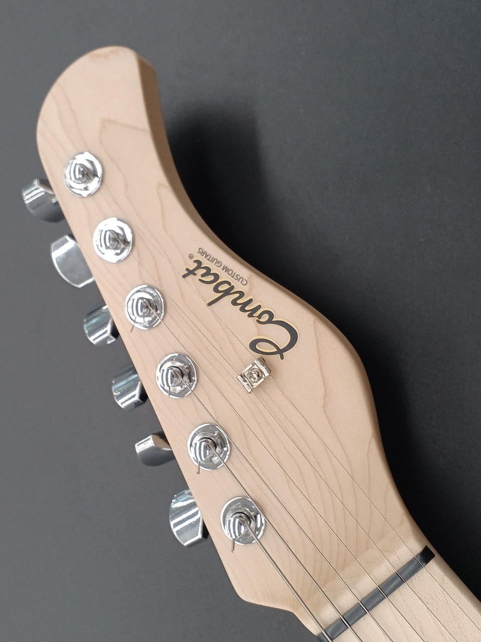 COMBAT ORDER GUITAR electric guitar