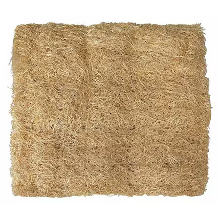 Champion Cooler 110091 Aspen Pad, 22X27 In