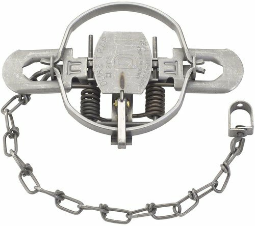 2 Duke #2 Coil Spring Traps 0490 Coyote Bobcat Fox Lynx Otter Trapping 5 1/4"