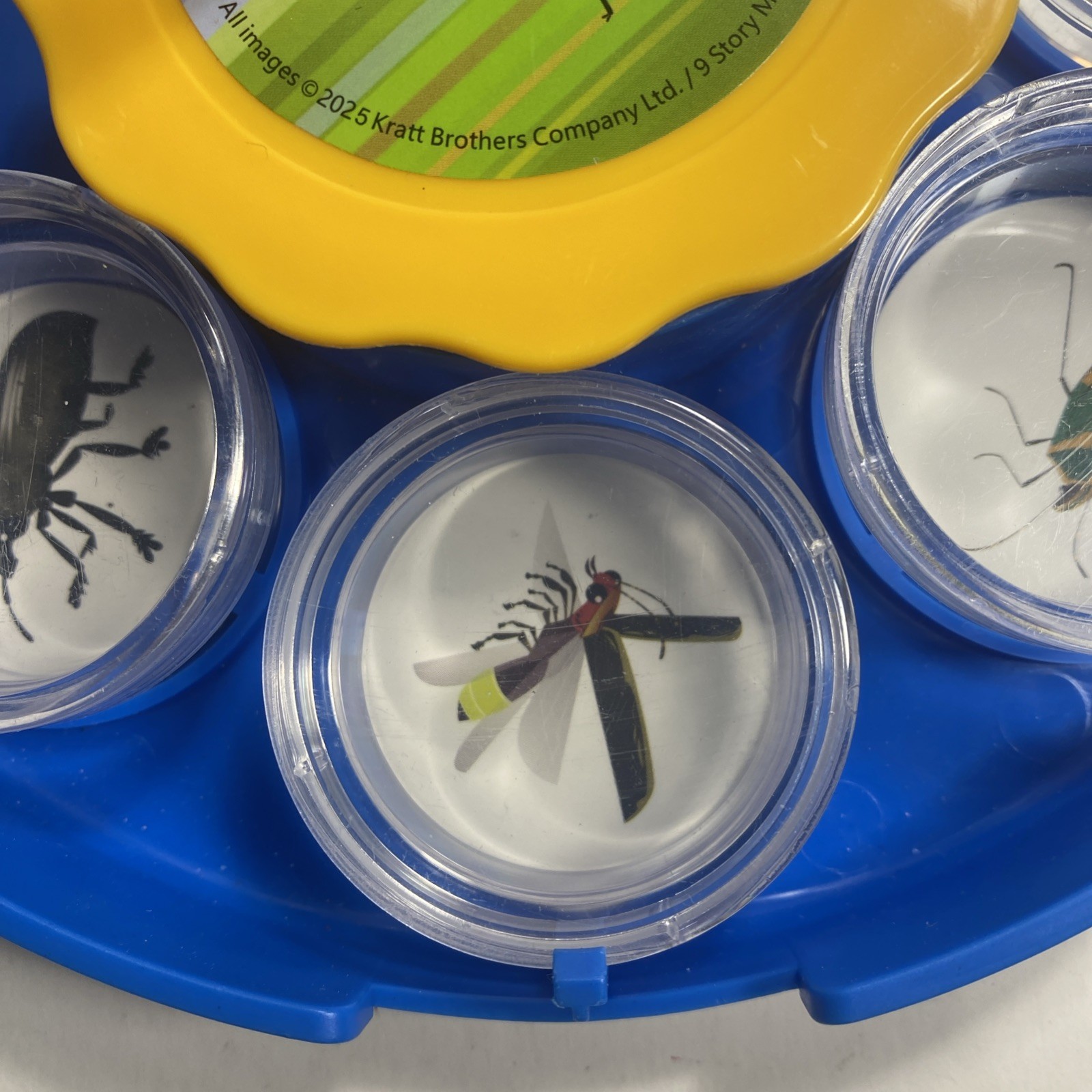 All Images Bug Viewing Kit By Kratt Brothers Ltd.