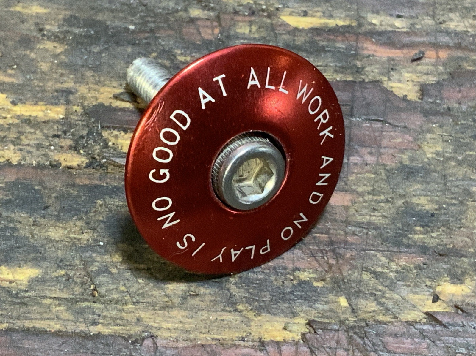 "All Work And No Play Is No Good" Gary Fisher Headset Cap Red  1-1/8" Threadless