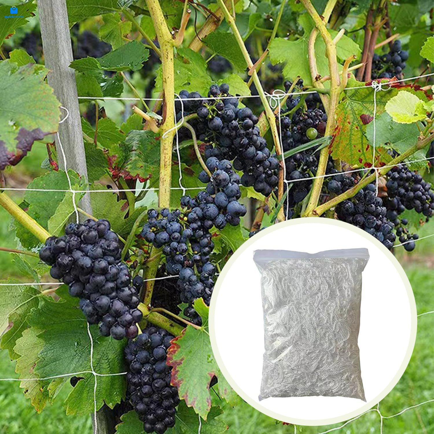2-Pack Plant Trellis Netting – 5 x 15 ft Polyester Mesh for Climbing White