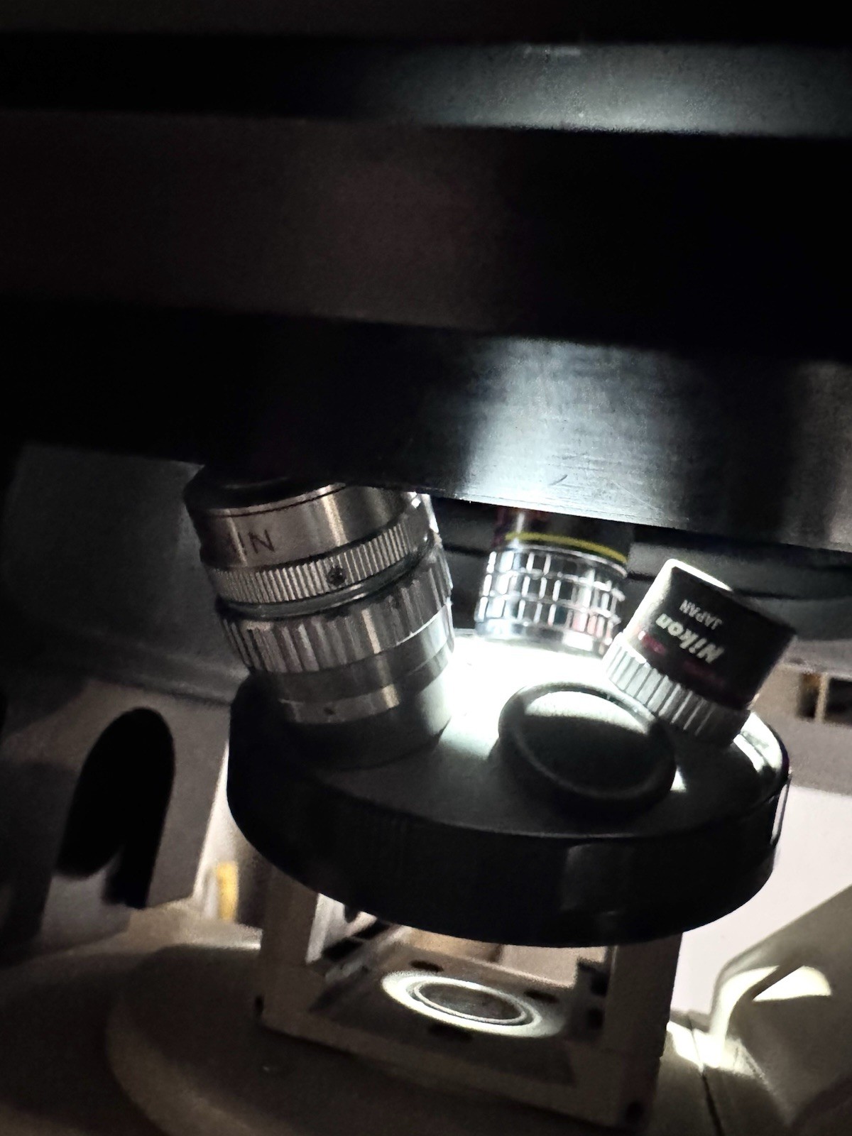 Nikon Diaphot Inverted Phase Contrast Microscope With 3 Objectives