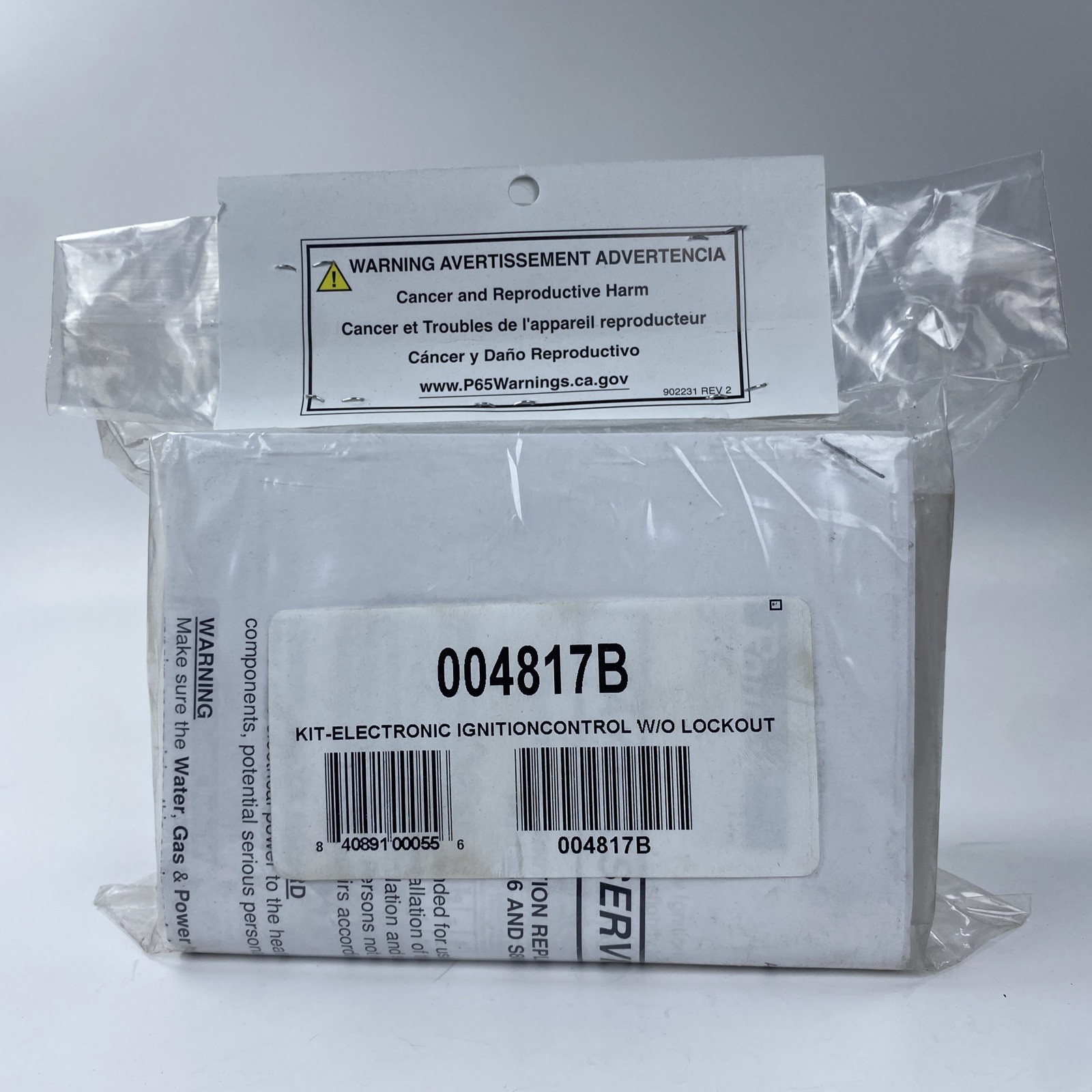 Raypak 004817B Electronic Ignition with "O" Lockout Ng Brand New