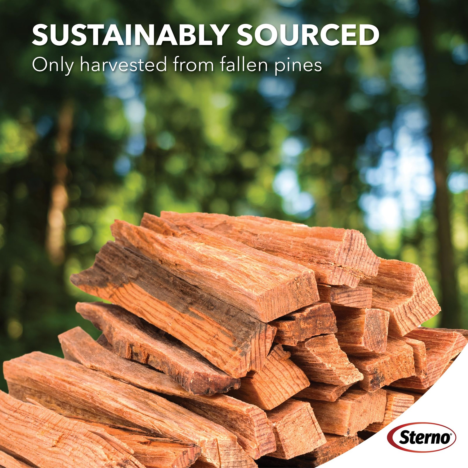 Sterno Fatwood Fire Starter Sticks 10lb All-Natural Resin-Rich Pine Indoor Outdo