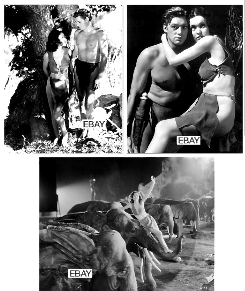SALE: TARZAN AND HIS MATE 1934 MOVIE PHOTO W/3 IMAGES E.R. BURROUGHS WEISSMULLER