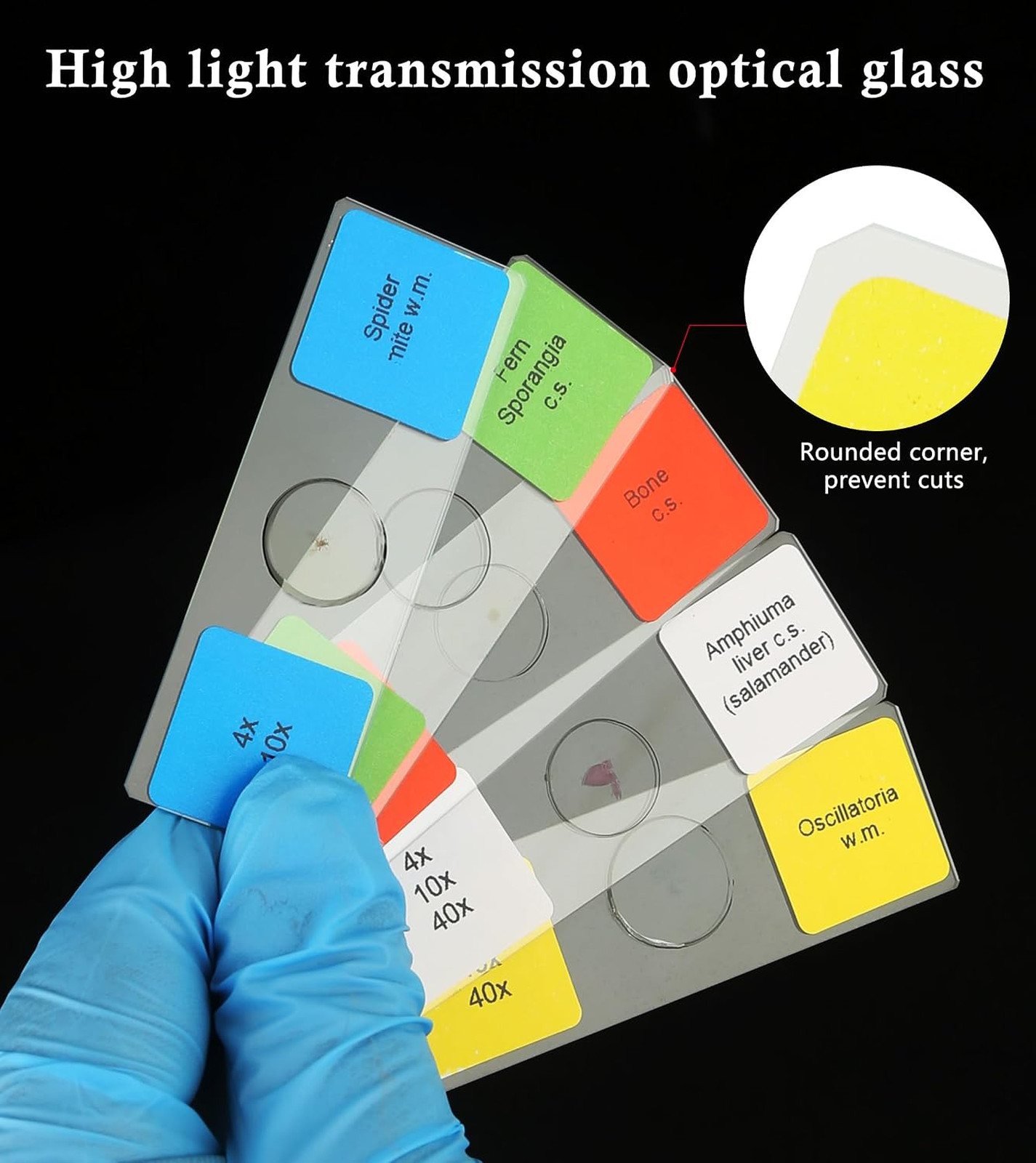 120 Microscope Slides with Specimens Set, Lab-Grade Prepared Microscope Slides