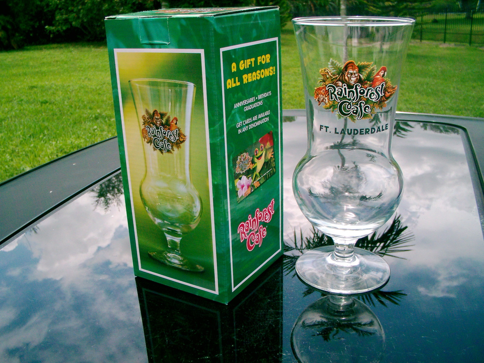 RAINFOREST CAFE FT. LAUDERDALE STEMMED TALL GLASS 8 IN.NEW IN BOX