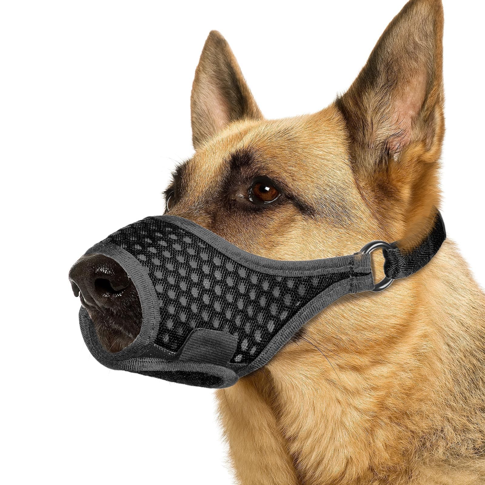 LUCKYPAW Soft Muzzle for Medium Large Sized Dogs Beagle Labrador M, Black