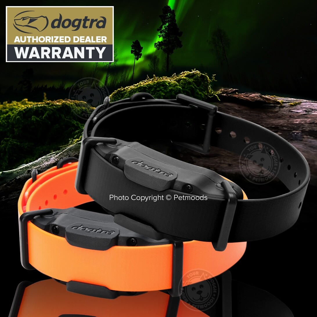 Dogtra 3502X Dual Knob 2-Dog Training Collars System