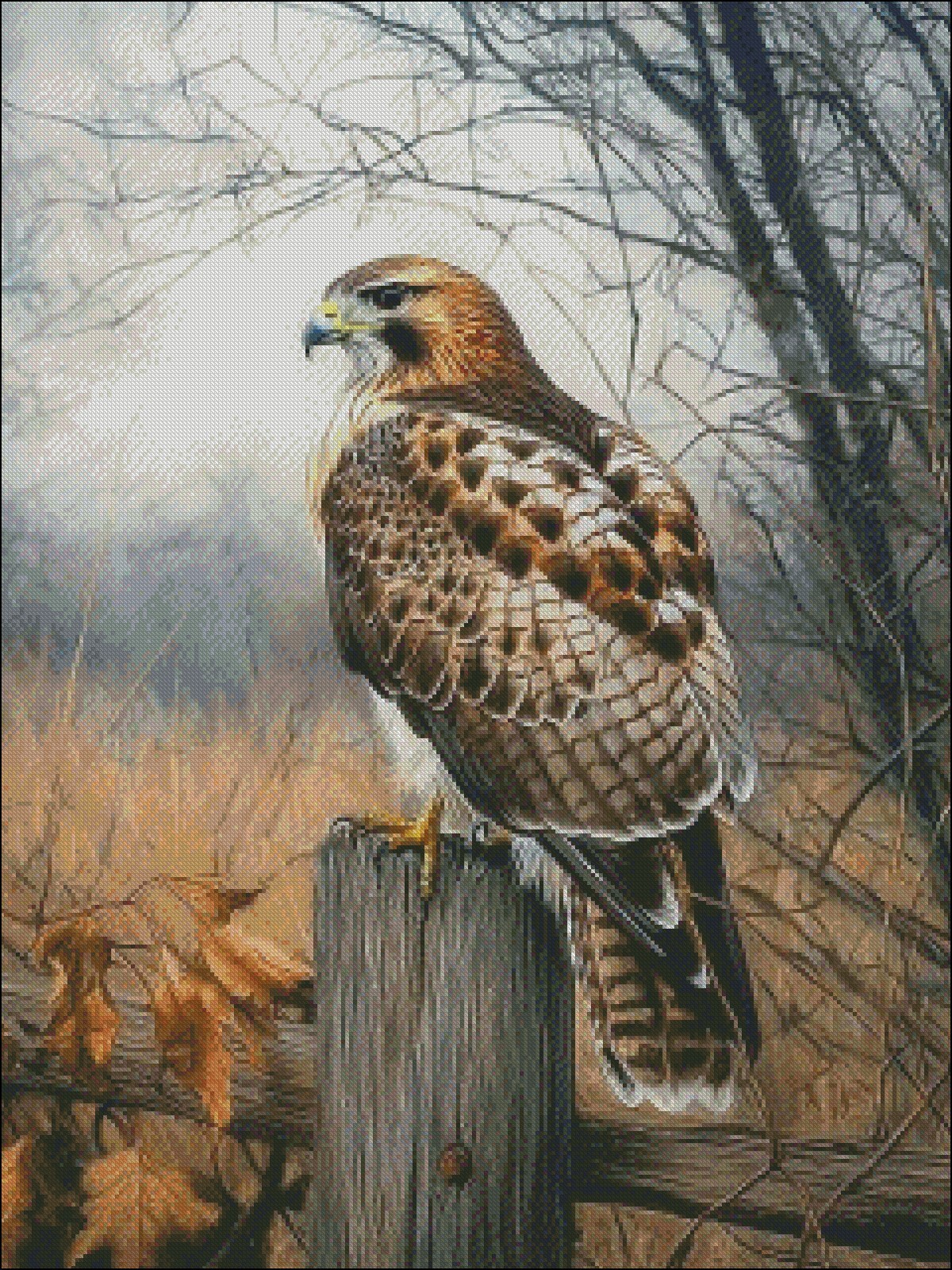 Red Tailed Hawk - Chart Counted Cross Stitch Patterns Needlework DMC Color