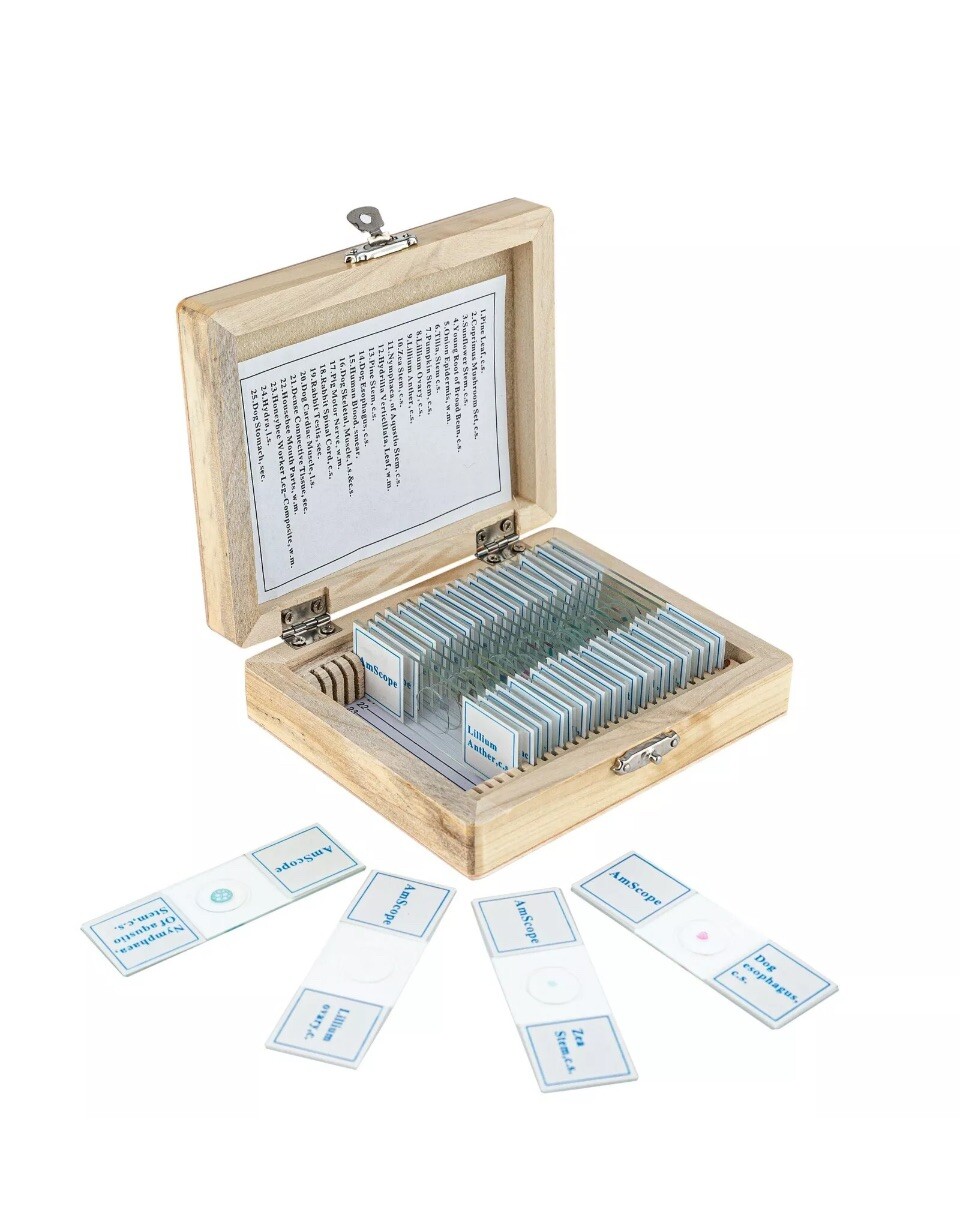 AmScope 25 Prepared Microscope Slides Glass with Wooden Box