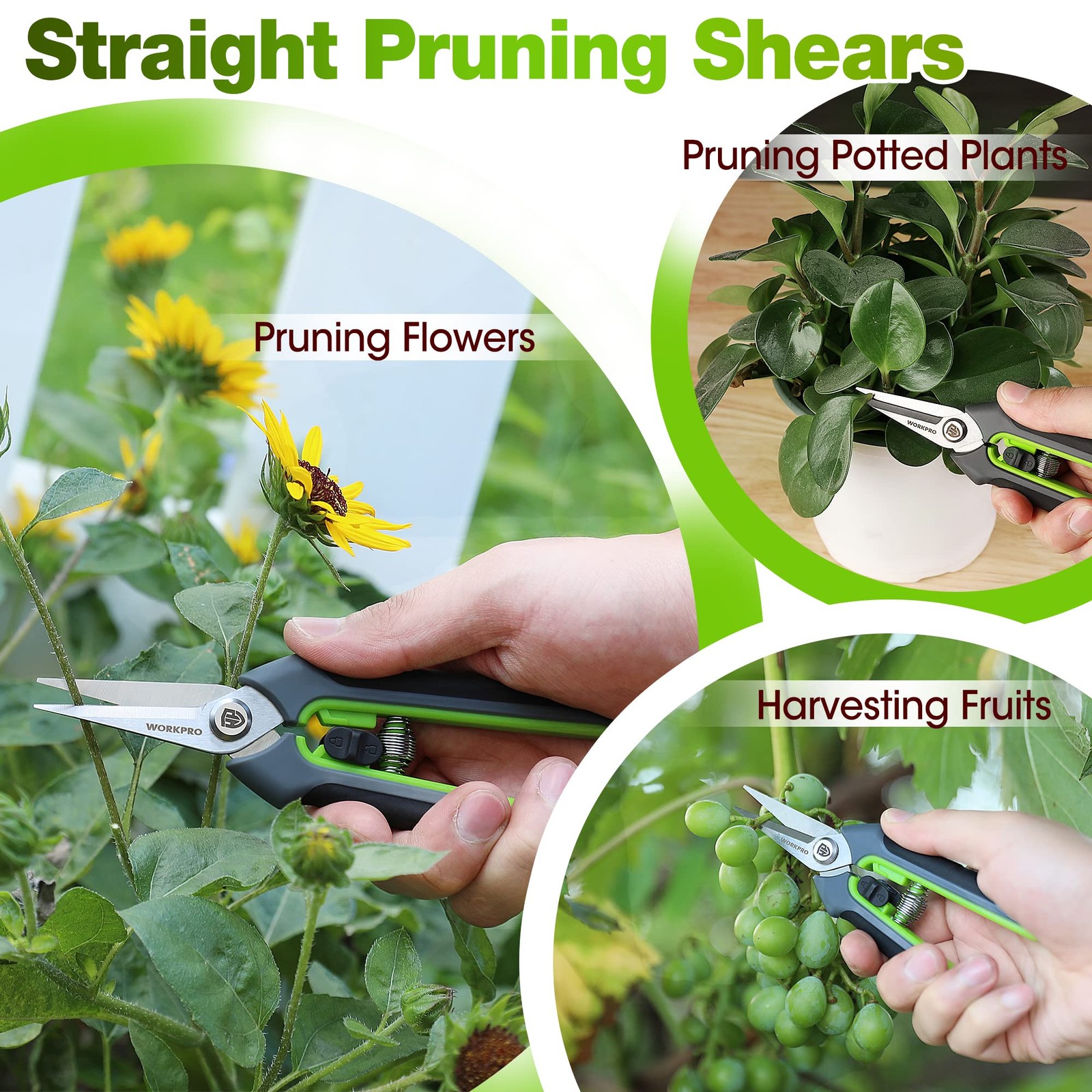 WORKPRO Garden Pruning Shears 2 Pack, 8" Bypass Green, Grey, Black
