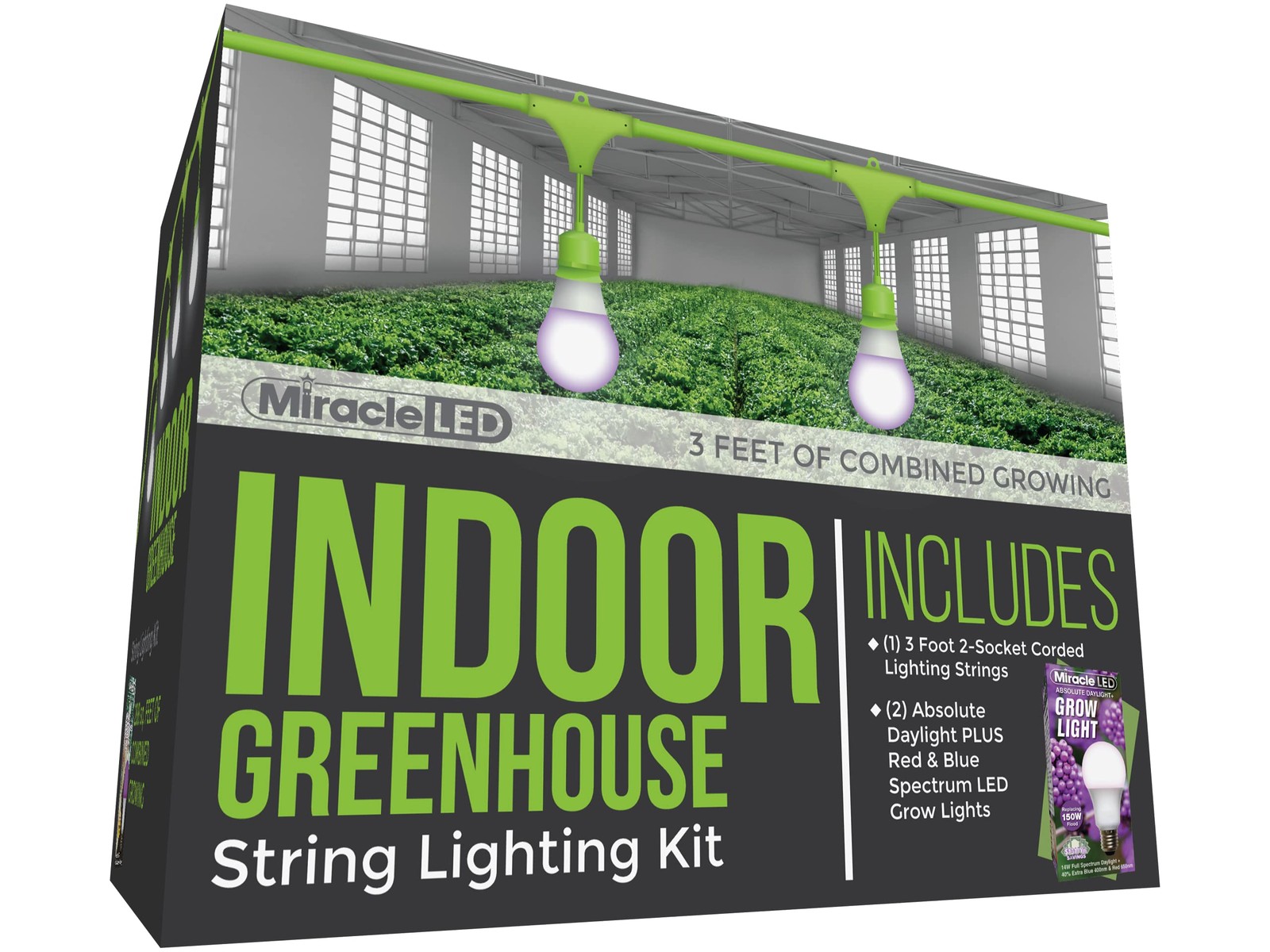 2-Socket 3ft Corded Indoor Greenhouse Kit with 2 Absolute Daylight Plus Red &...