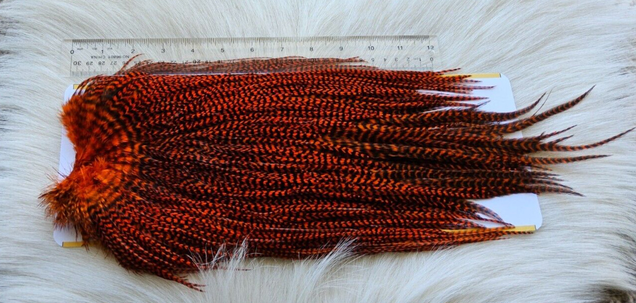 Saddle Hackle. SLS; Rooster Full Saddle,, Color; Grizzly/Orange.. Free Shipping.
