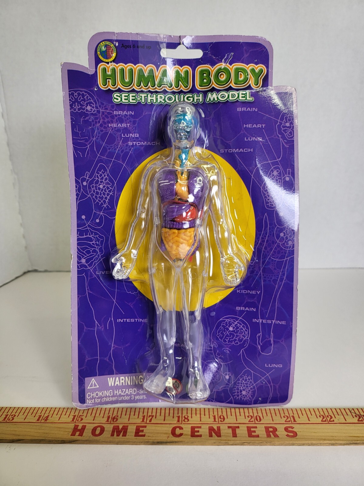 Human Body See-Through Model Science And Nature Series NOS