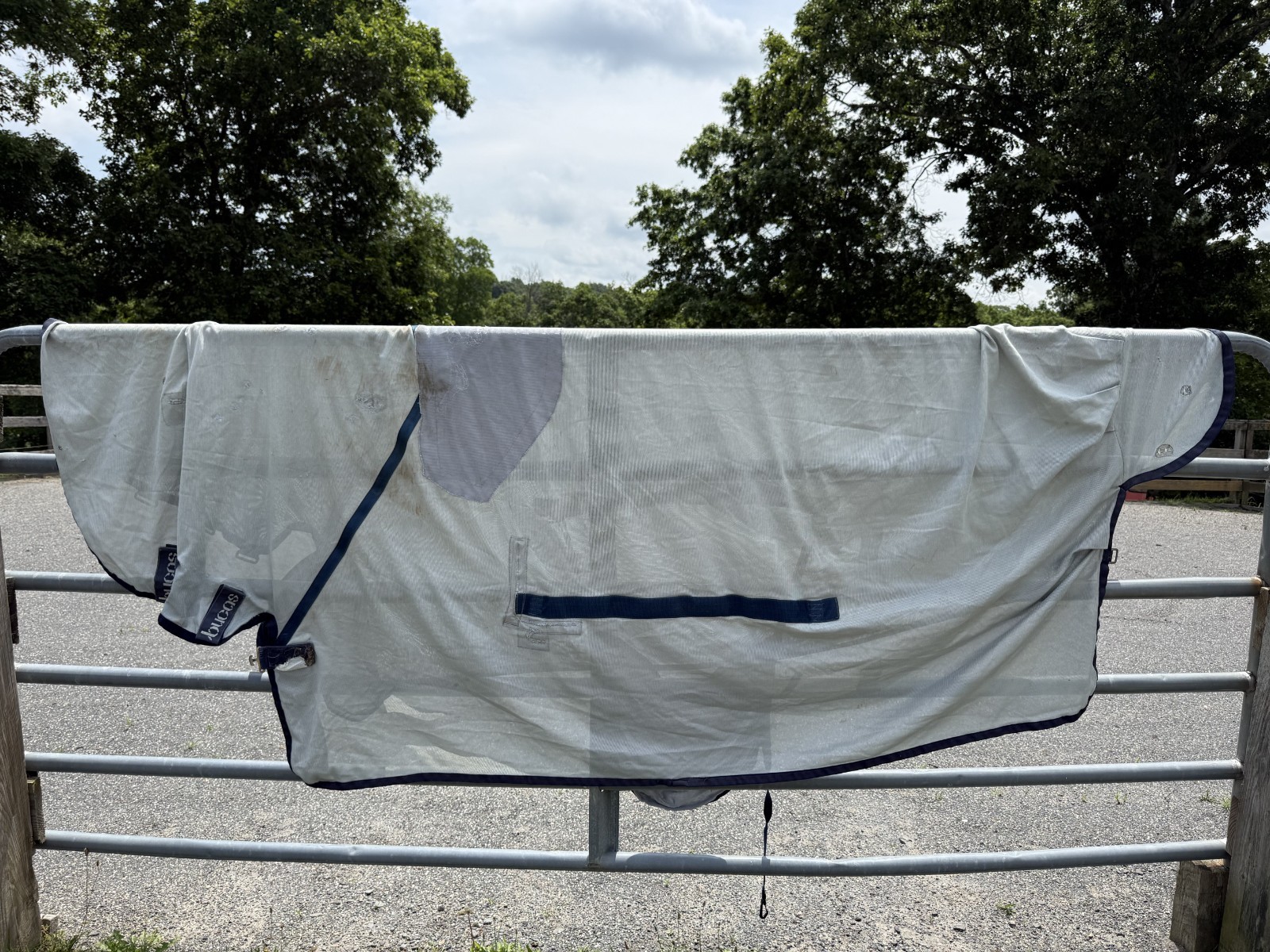 81” Bucas Buzz Off Full Neck Horse Fly Sheet  - Used