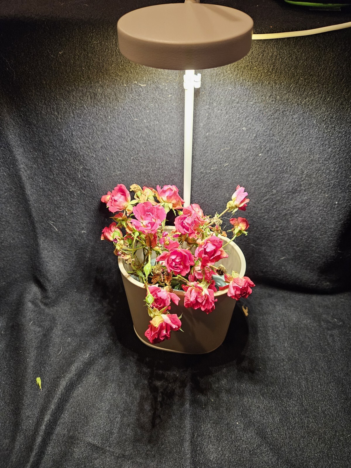Pret A Pousser Nano Garden