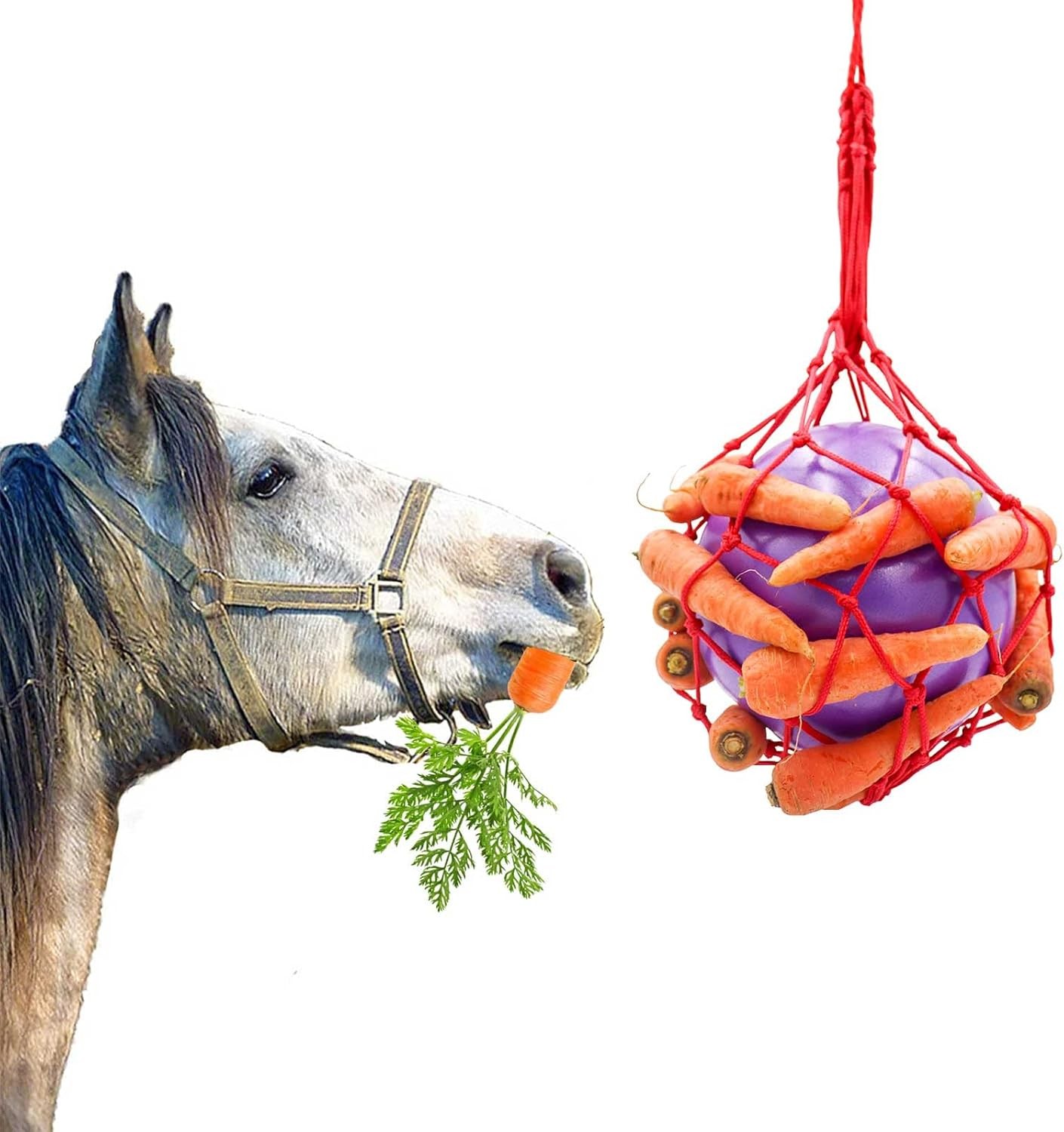 Tirifer Horse Treat Ball Carrot Feeder Toy Hanging Feeding Goat Purple