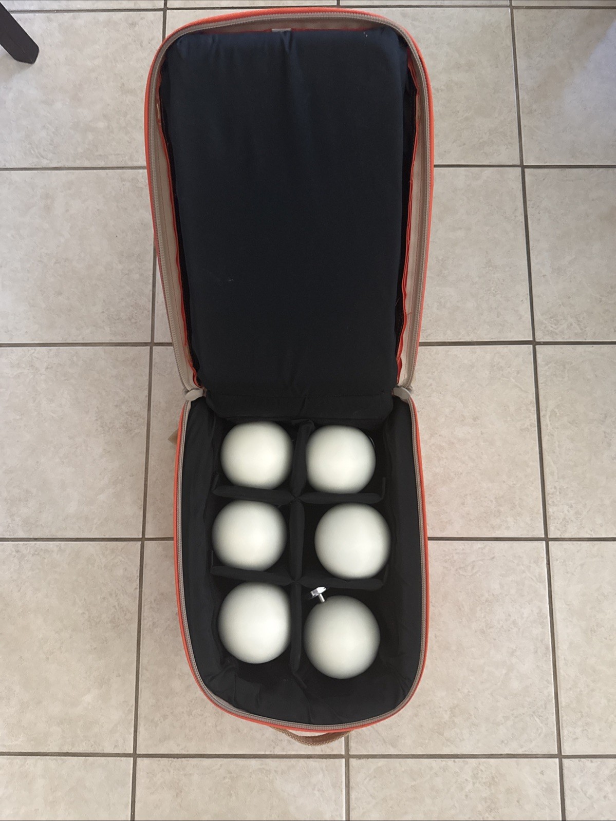 Six 100 Mm Terrestrial Laser Scanner With Reference Spheres With Case