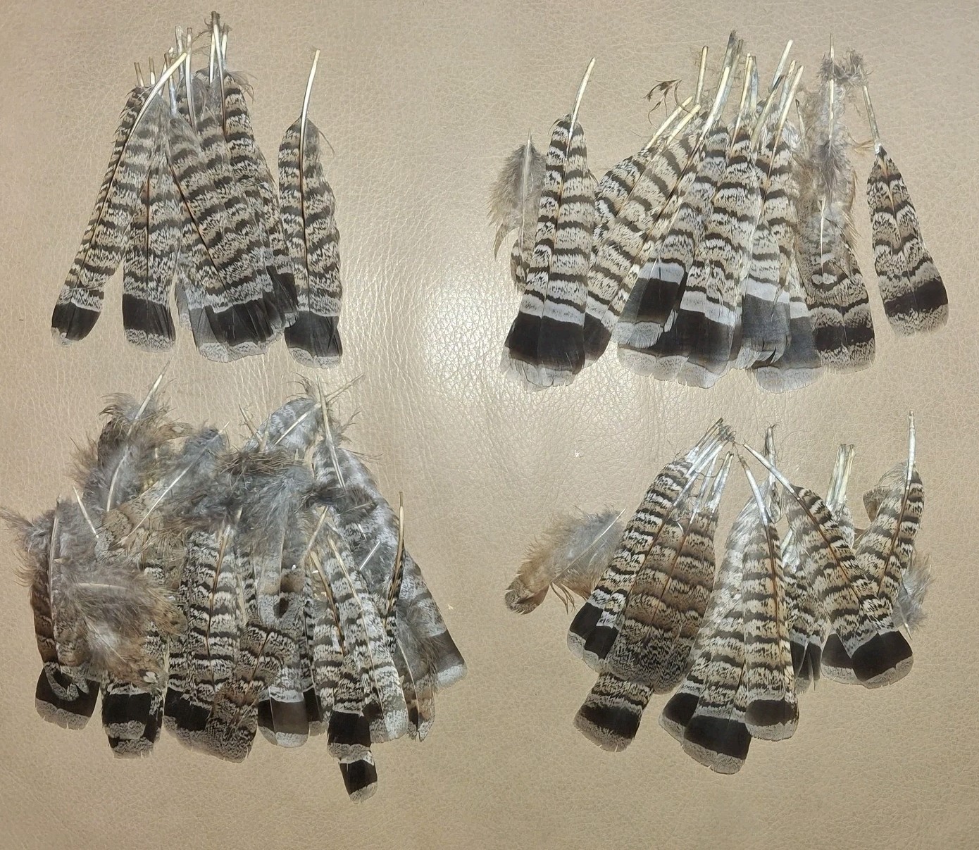RUFFED GROUSE TAIL FEATHERS -CABIN/DECOR/HUNTING/ARTS & CRAFTS/ART/DISPLAY