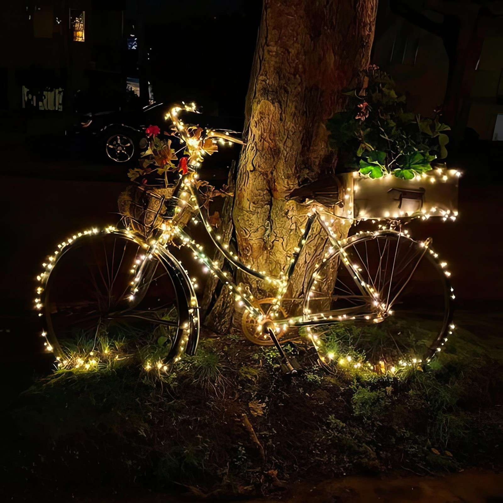 MagicPro String Lights, Fairy USB Light with 200 Warm White