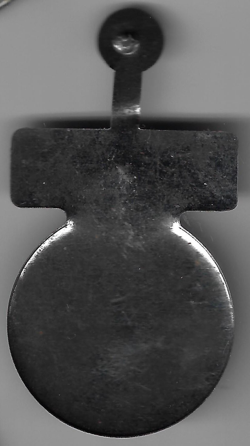 Election Day 1956 Dwight Eisenhower Polling Place Official Campaign Tab Device
