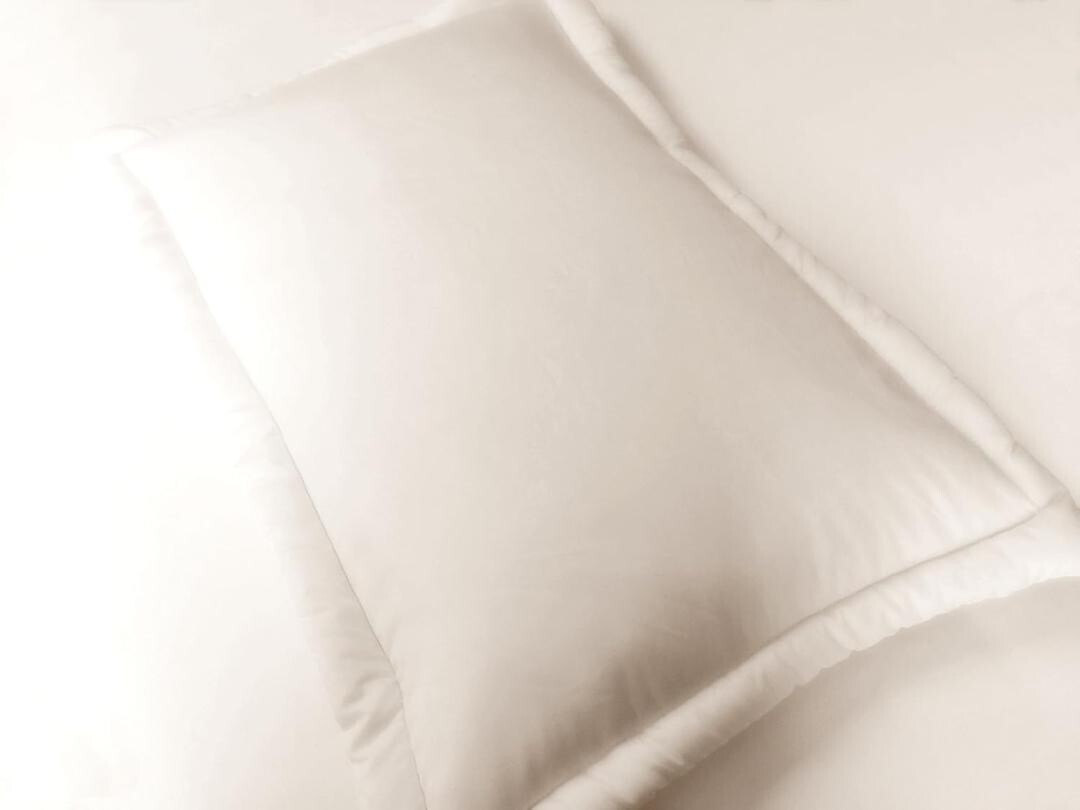 Cream or Beige Colored Standard/Queen Solid Memory Foam Bed Pillows with Case