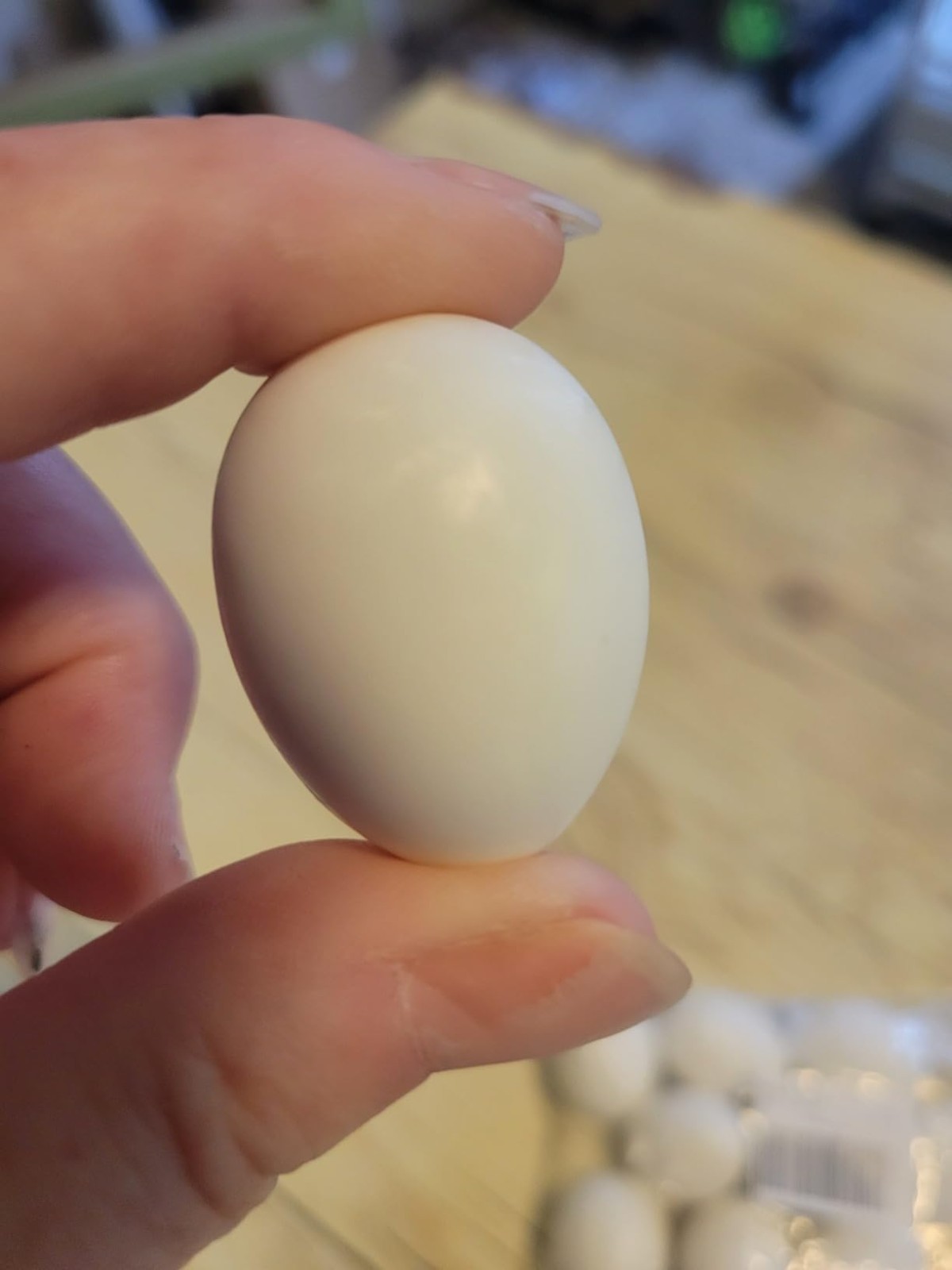10PCS Fake Pigeon Eggs Solid Plastic Nest Eggs for Racing Pigeons Hatching