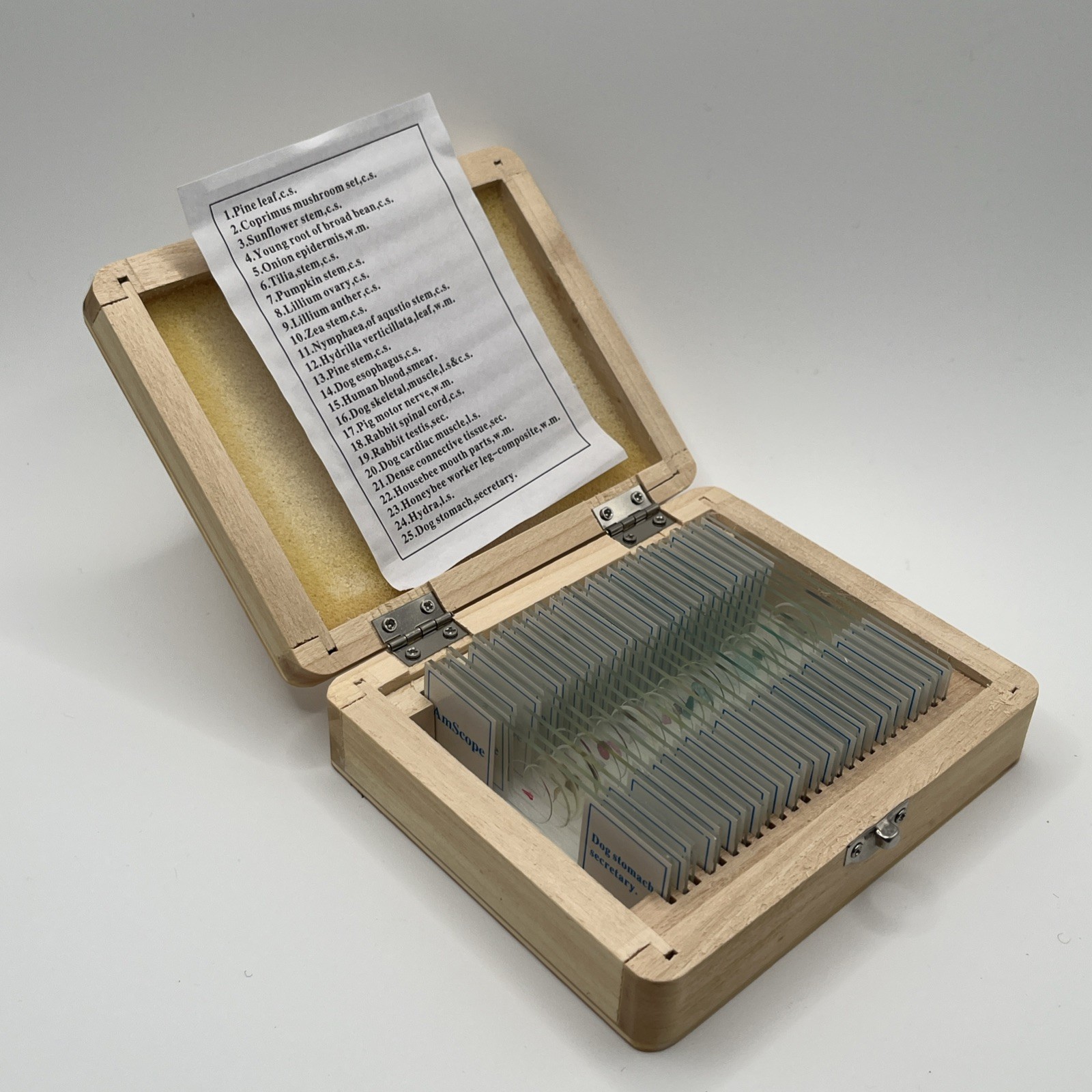 AmScope 25pc Glass Prepared Microscope Slides Specimen Set Wooden Case PS25