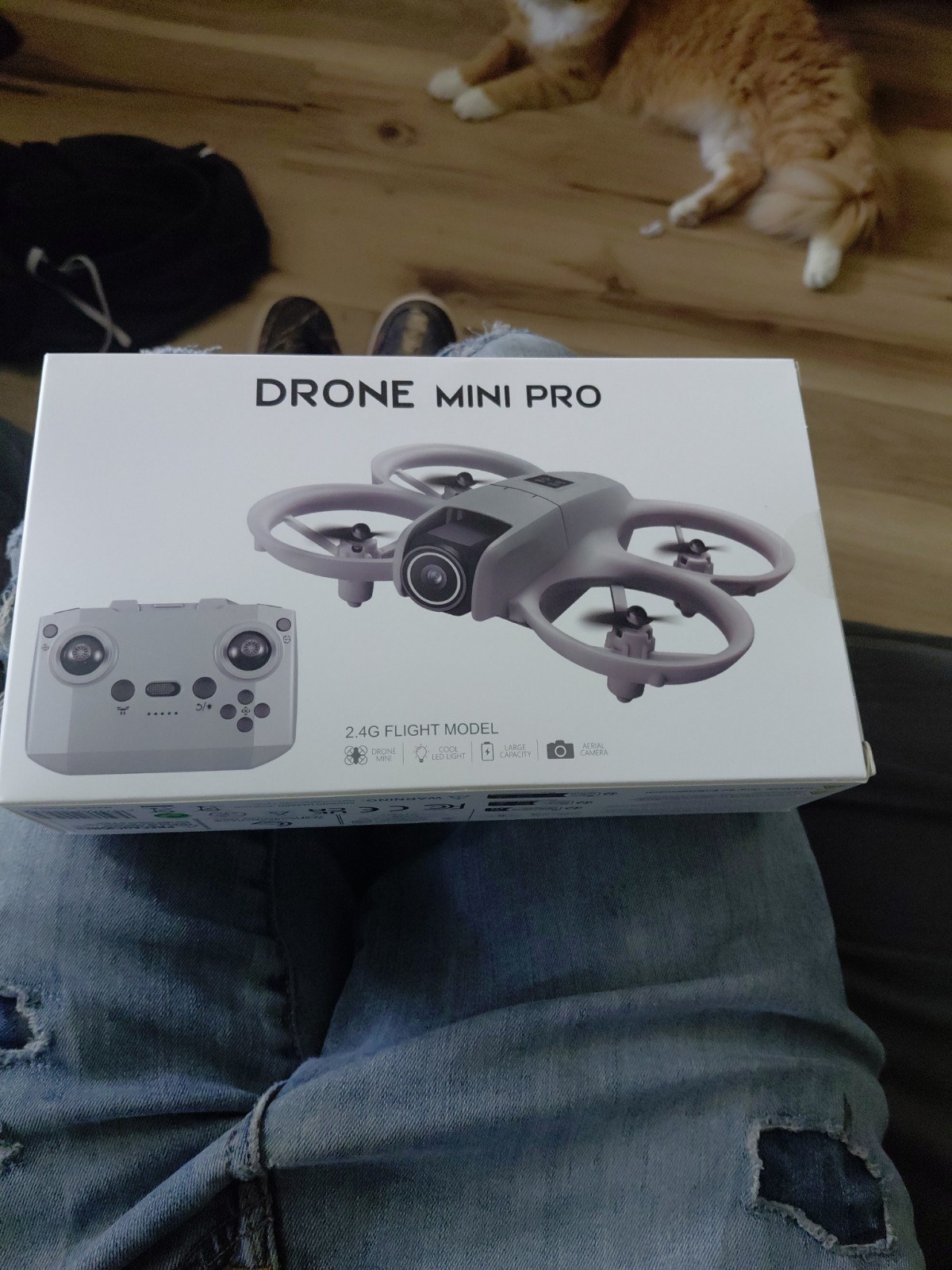 Drone Mini Pro