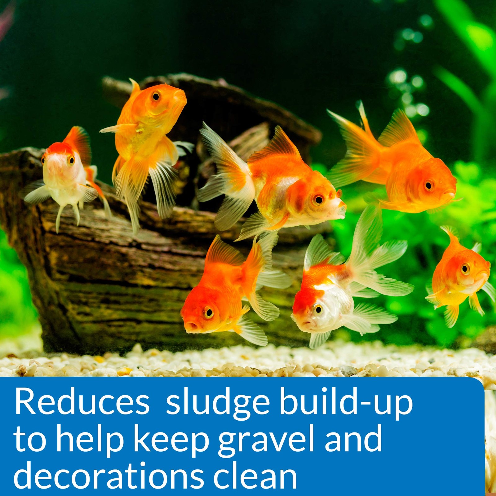 API GOLDFISH PROTECT Aquarium Water Conditioner Conditioner, White