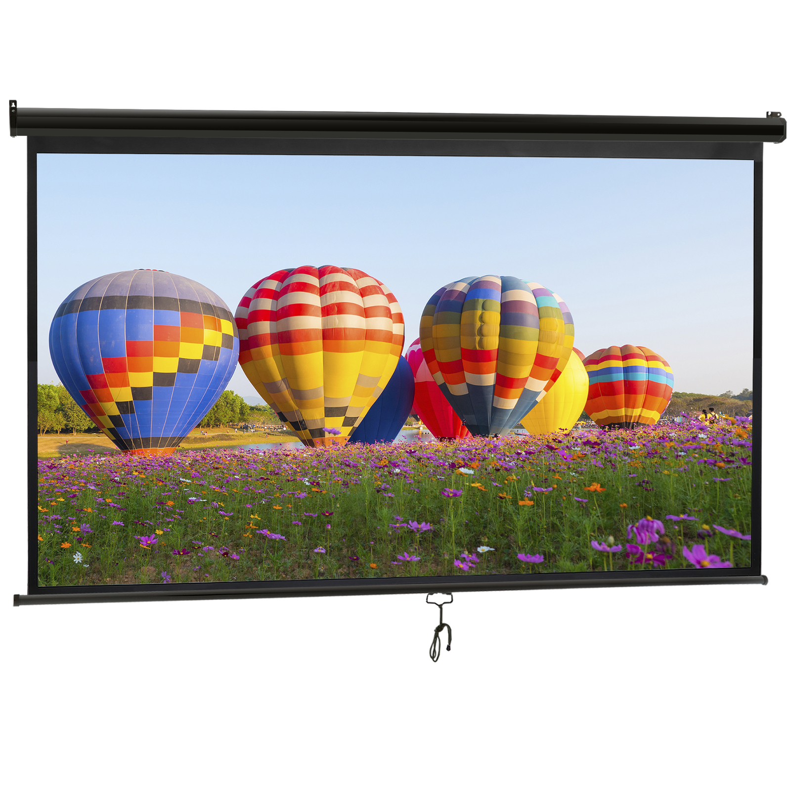 Projection Screen 100'' Pull Down Projector Movies Screen 16:9 HD Home Theater