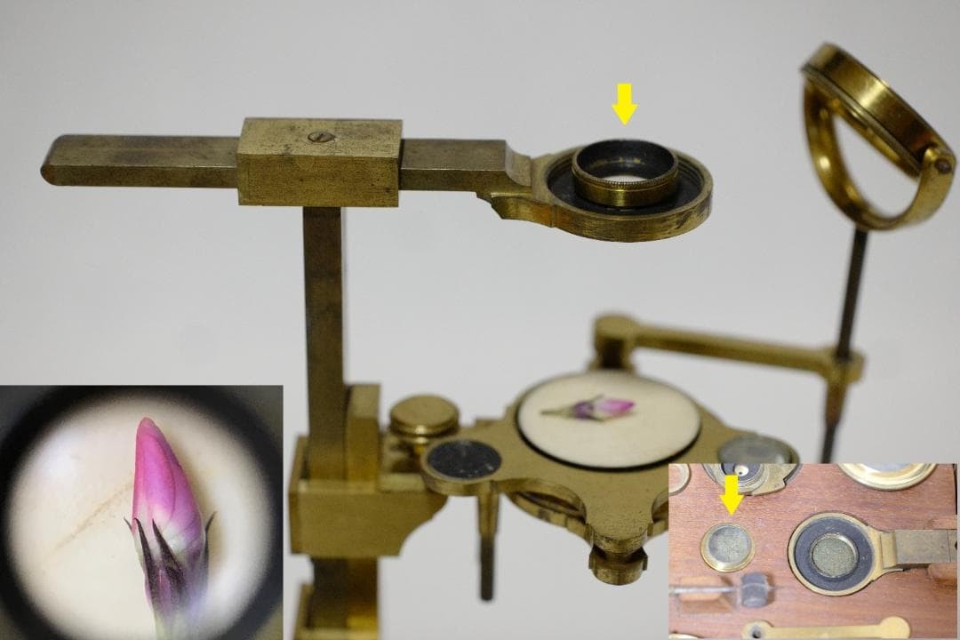 Dorondo Universal Microscope Antique Made in 1776-1790
