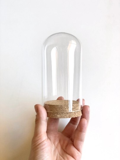 Cloche Jar Glass Display Dome with Cork Base, Bell Jar, Home Decor, 120x68mm