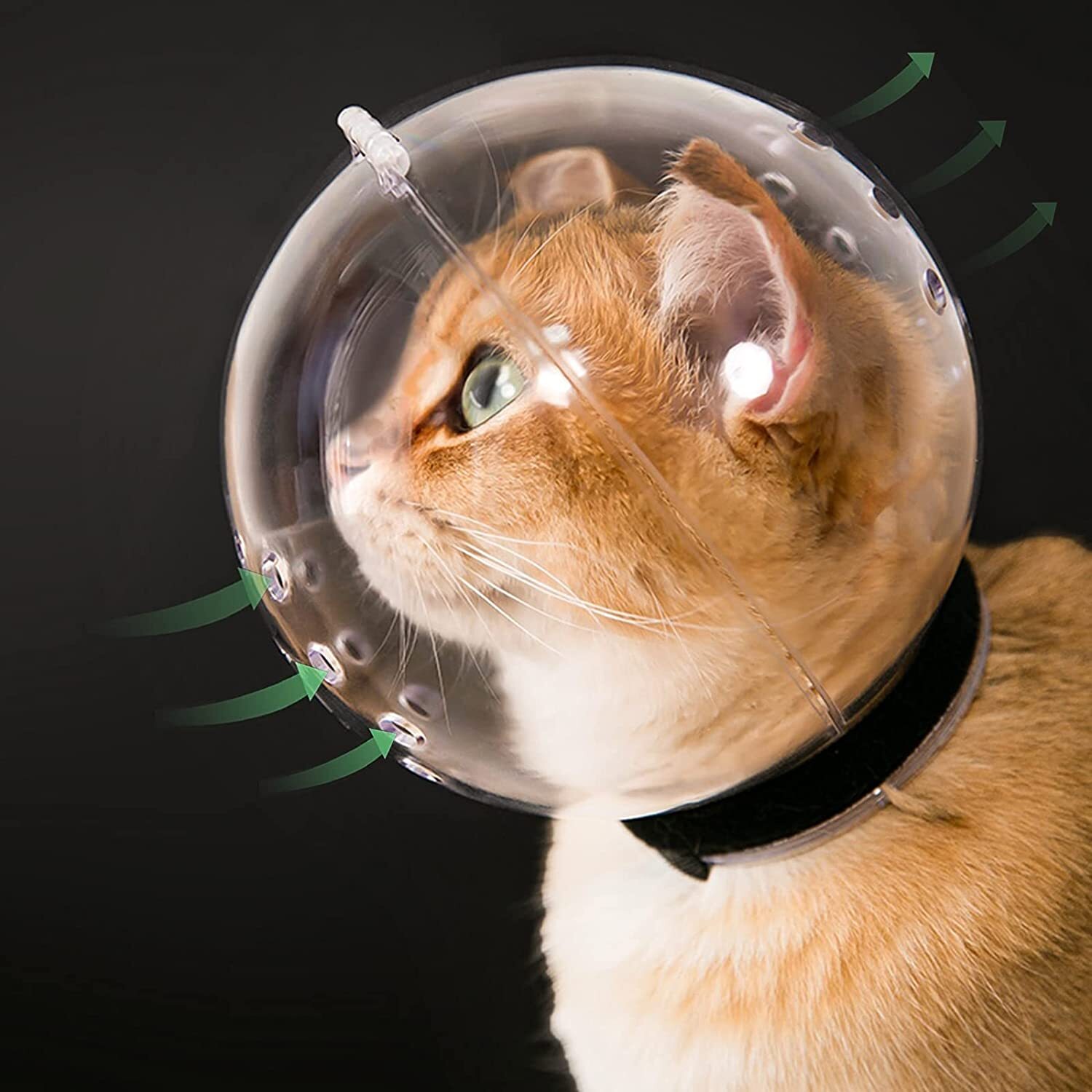 Cat Transparent Breathable Cat Hood Adjustable Kitten Astronaut Helmet Collar