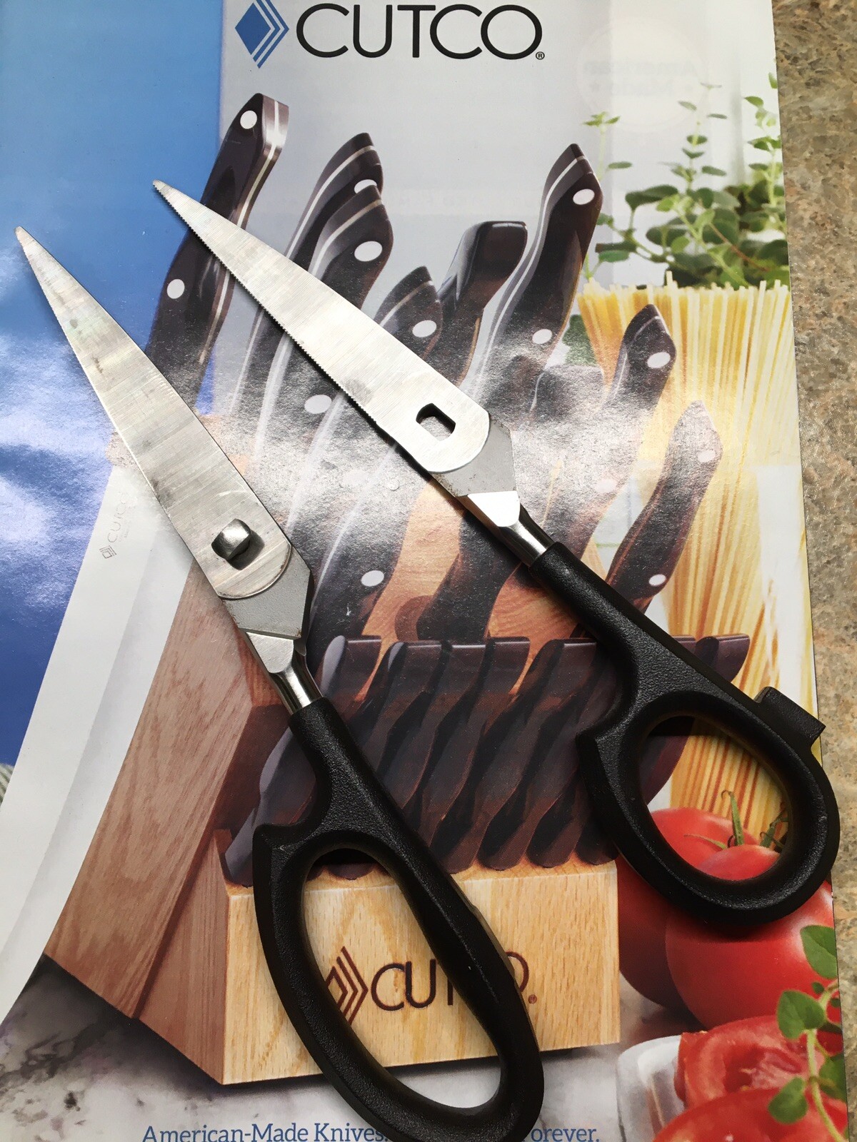 Sharpened Cutco 77 Black Kitchen Scissors / Take Apart Shears Excellent! 8inch