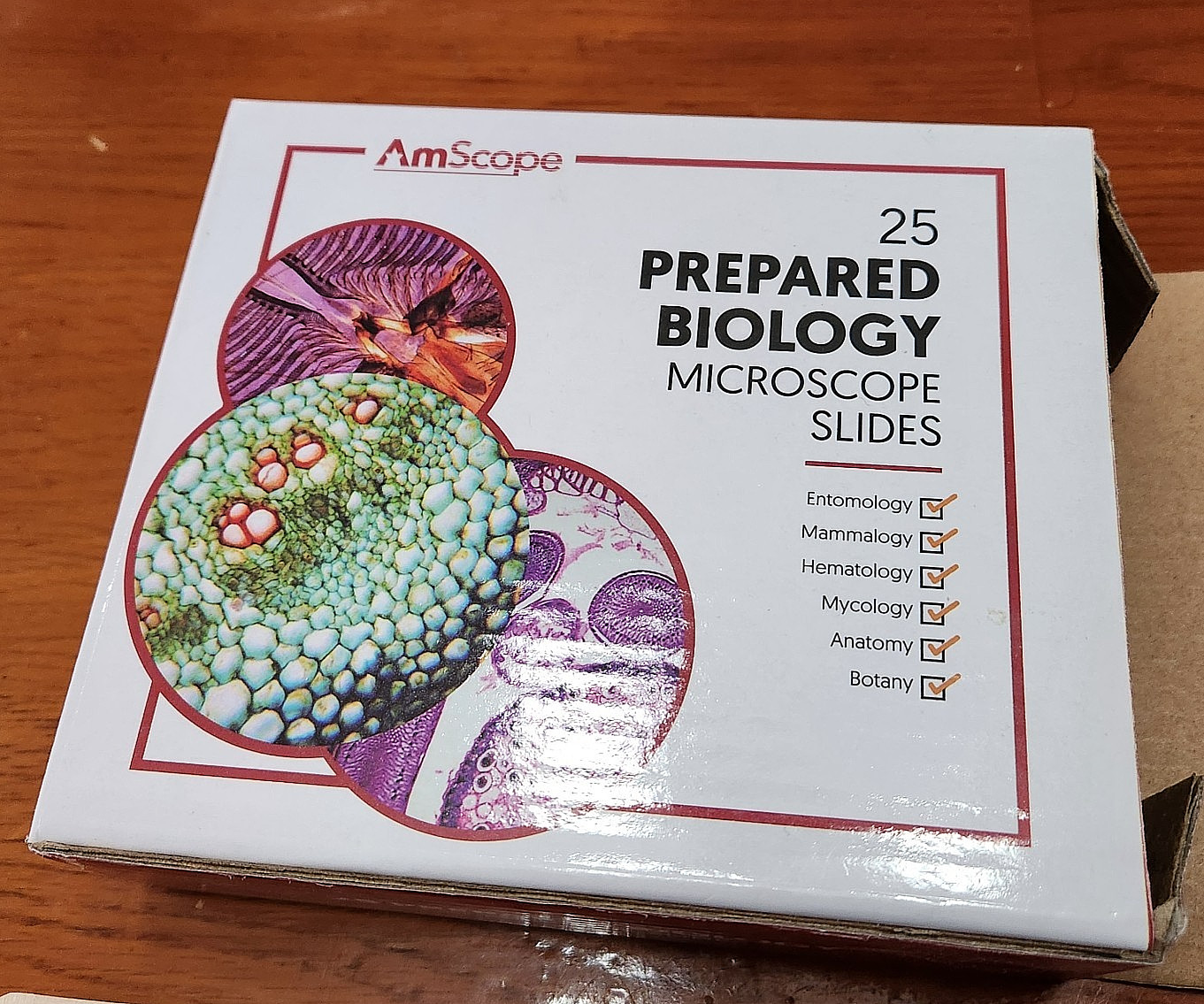 50+ Specimens on Prepared Slides for Microscope - New & Vintage Slides - Biology