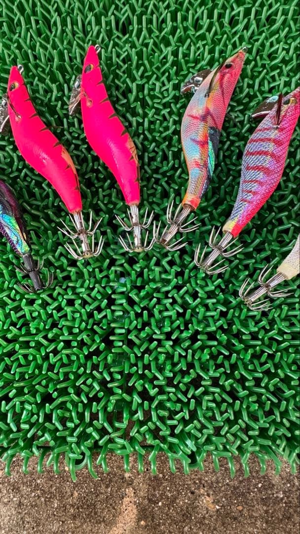 Daiwa Egi Squid Jig 2.5 Size Assorted Set of 6 japan