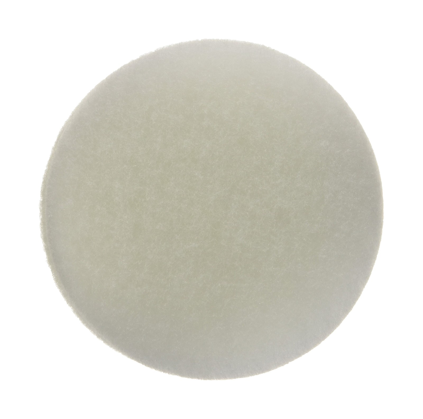 EHEIM Fine Filter Pad (White) for Classic External Filter 2215 (3 P... Fast Ship
