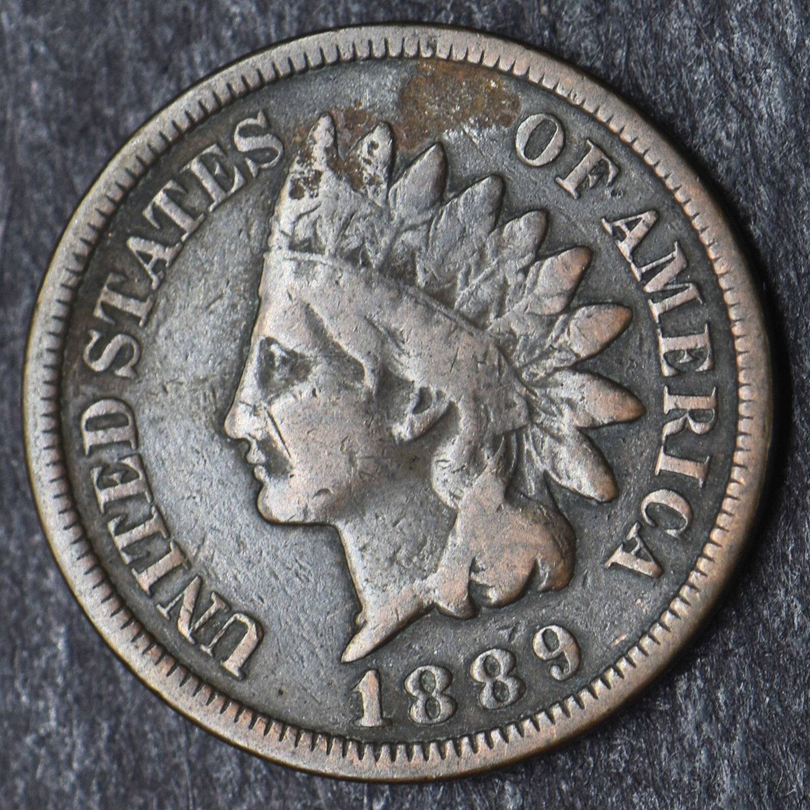 1889 Indian Head Cent 1C- COINGIANTS -