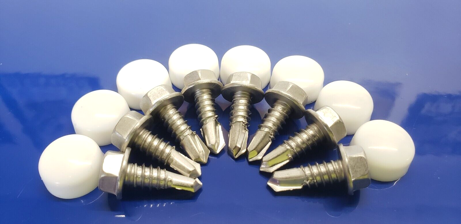 (10) Lund Cab Sun Moon Visor Mounting Hardware Stainless Screws & White Caps