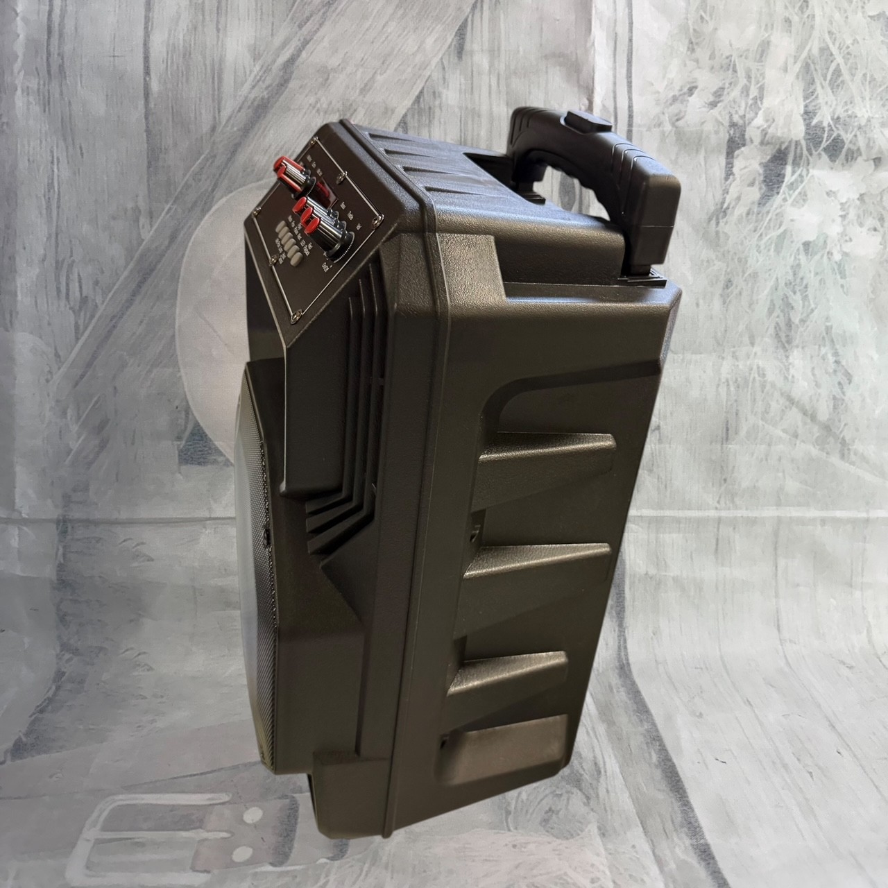Karaoke Machine with 2 Wireless Microphones & Bluetooth Speaker