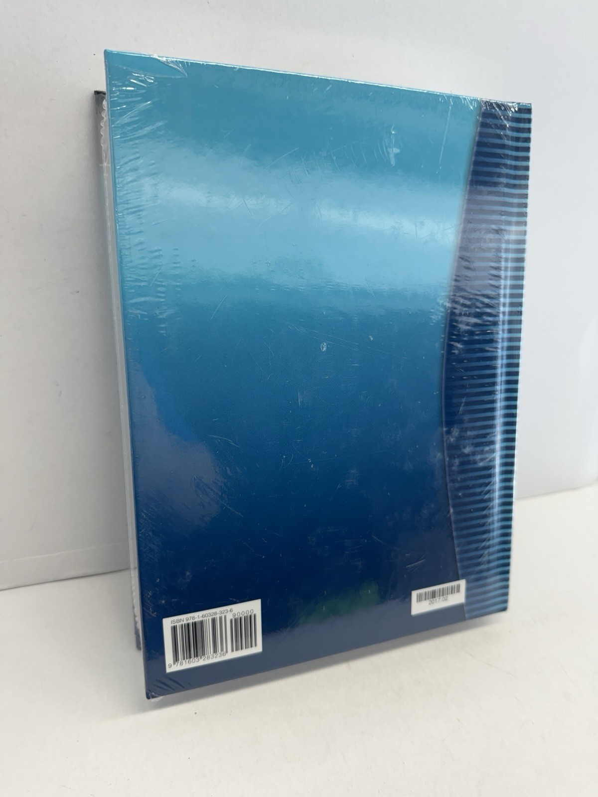 NEW SEALED Modeling with Math Core Connections Integrated I