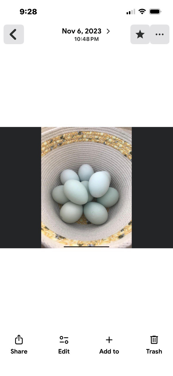 6+ Fertile Opal Legbar hatching eggs Rare Breed