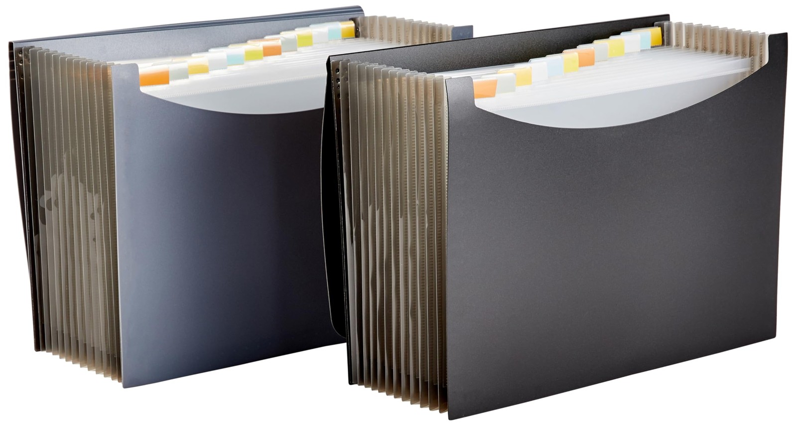 Amazon Basics Expanding Organizer File Folder for 1-Pack, Black & Gray