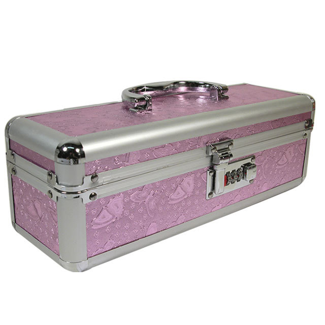 Lockable Vibrator Case - Regular - Pink - Discreet adult-novelty Toy Box